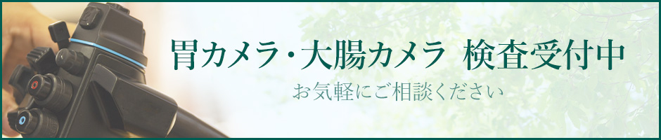 胃カメラ・大腸カメラ 検査受付中